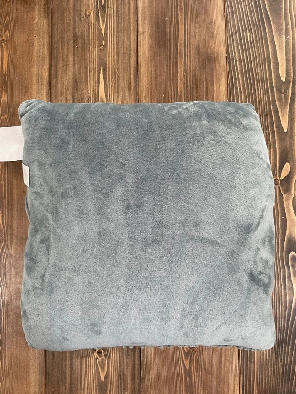 Teal Decorative Throw Pillow